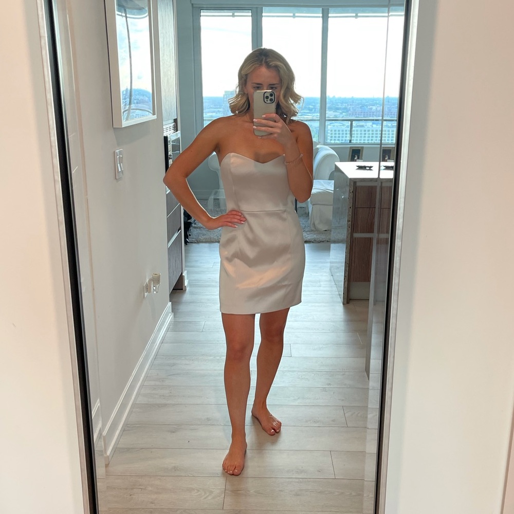 Aritzia Dazzle Dress in Denude